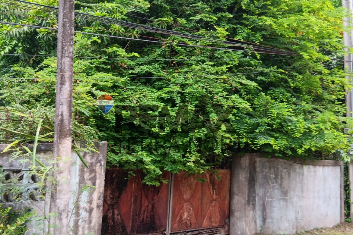 Land for Sale in Santa Maria, Mapandan, Pangasinan