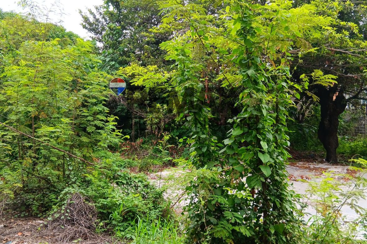Land for Sale in Santa Maria, Mapandan, Pangasinan – photo 3