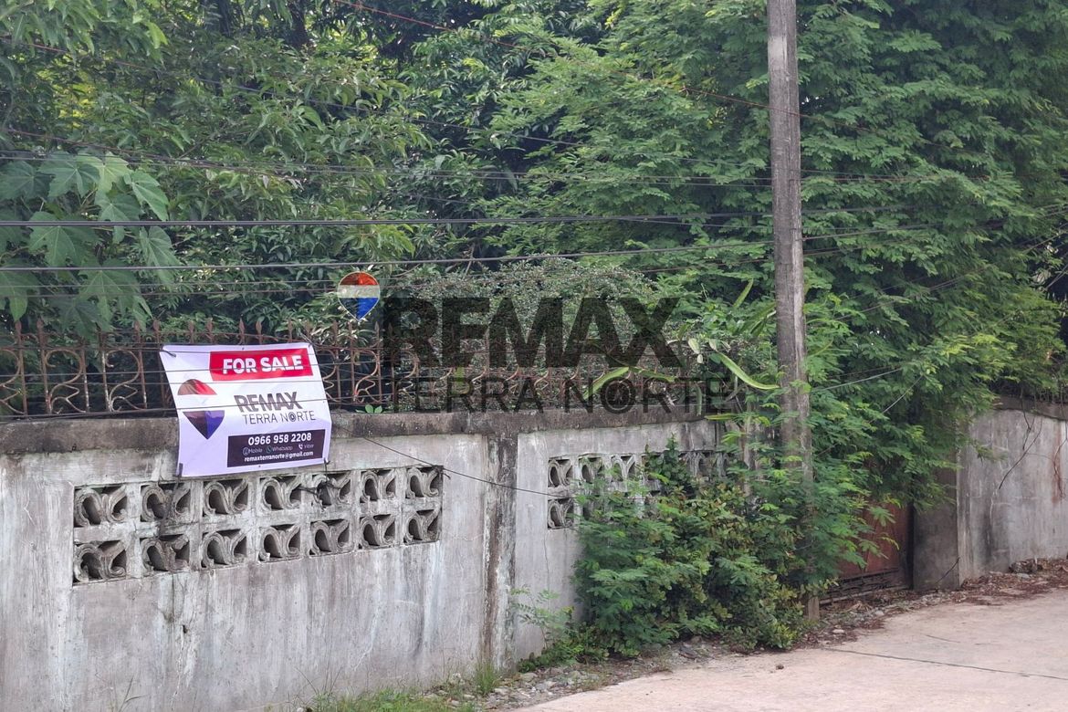 Land for Sale in Santa Maria, Mapandan, Pangasinan – photo 5