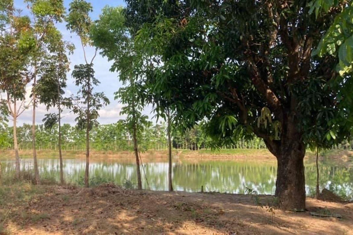 Land for Sale in Santa Maria, Mexico, Pampanga – photo 2