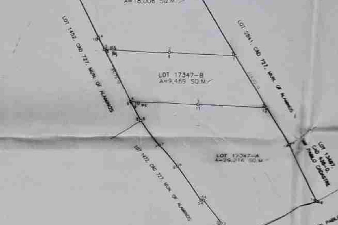 Land for Sale in Santa Maria, San Pablo, Laguna – photo 3