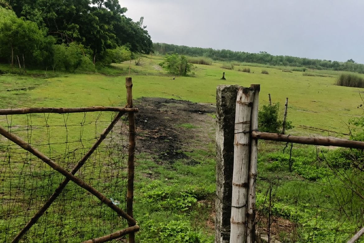 Land for Sale in Santa Maria, Tarlac, Tarlac – photo 2