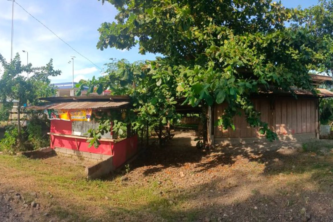Land for Sale in Santa Maria, Trento, Agusan del Sur