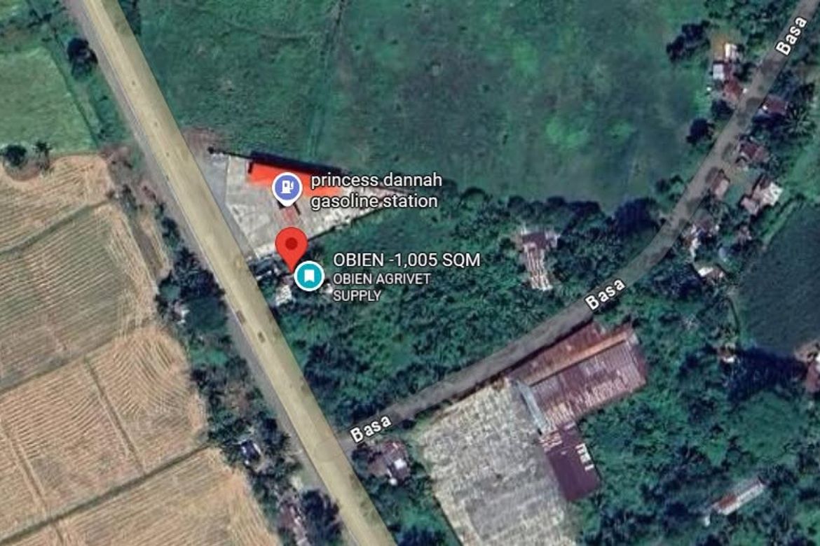 Land for Sale in Santa Maria, Trento, Agusan del Sur – photo 2