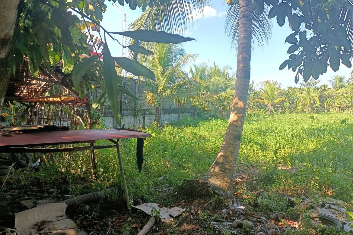 Land for Sale in Santa Maria, Trento, Agusan del Sur – photo 3