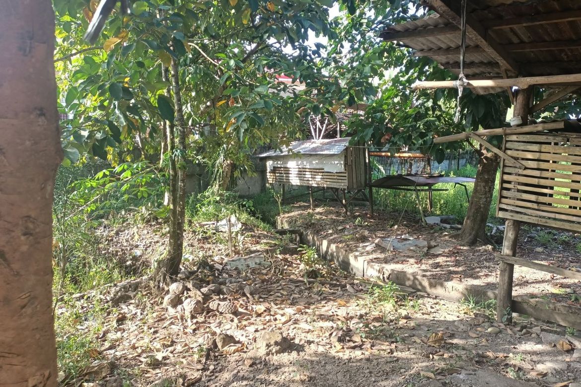 Land for Sale in Santa Maria, Trento, Agusan del Sur – photo 8