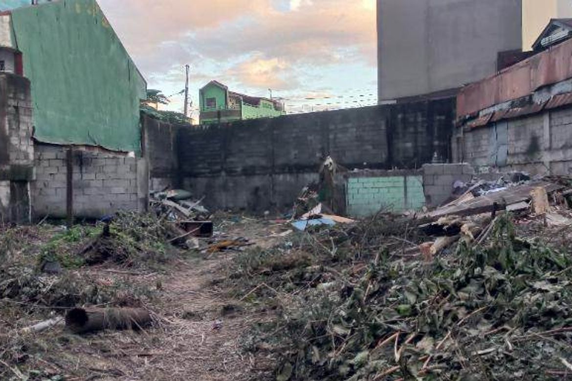 Land for Sale in Santa Mesa, Manila, Metro Manila near LRT-2 V. Mapa – photo 2