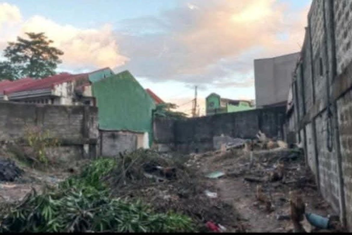 Land for Sale in Santa Mesa, Manila, Metro Manila near LRT-2 V. Mapa