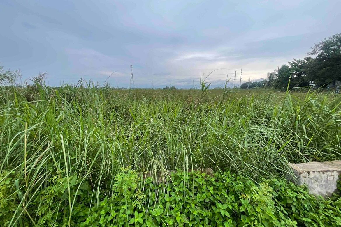 Land for Sale in Santa Monica, Lubao, Pampanga – photo 5