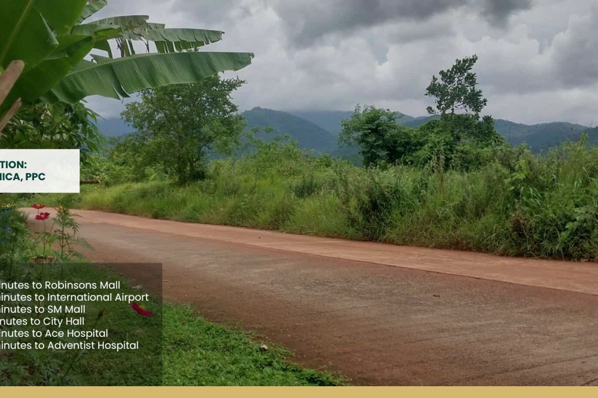 Land for Sale in Santa Monica, Puerto Princesa, Palawan – photo 7