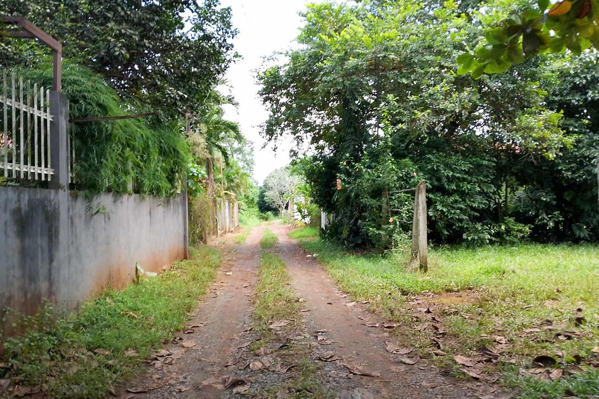 Land for Sale in Santa Monica, Puerto Princesa, Palawan