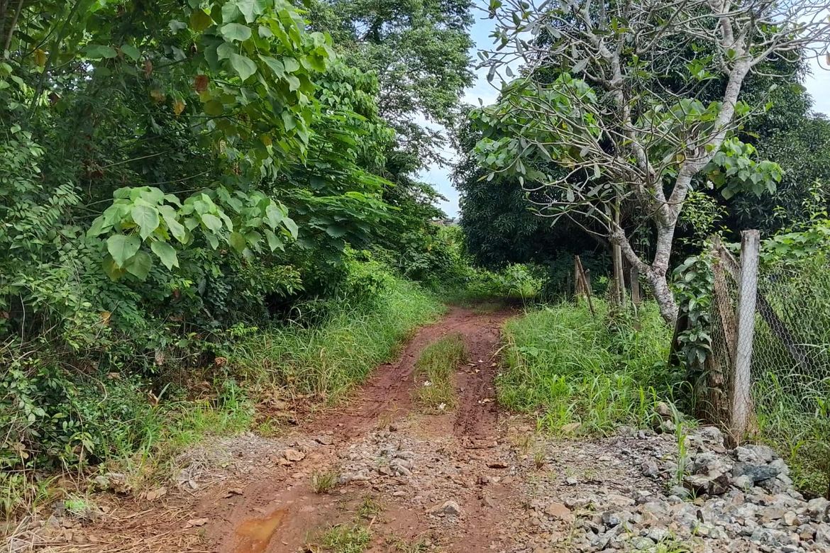 Land for Sale in Santa Monica, Puerto Princesa, Palawan – photo 5