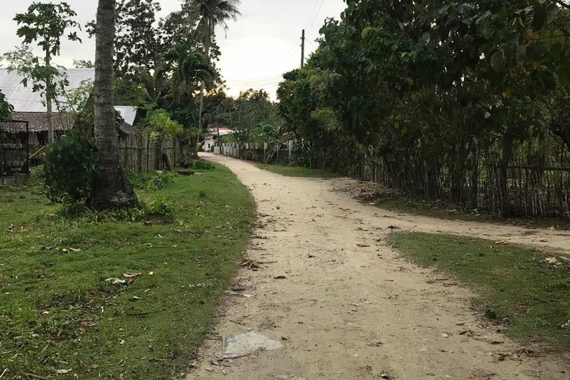 Land for Sale in Santa Monica (Sapao), Surigao del Norte – photo 4