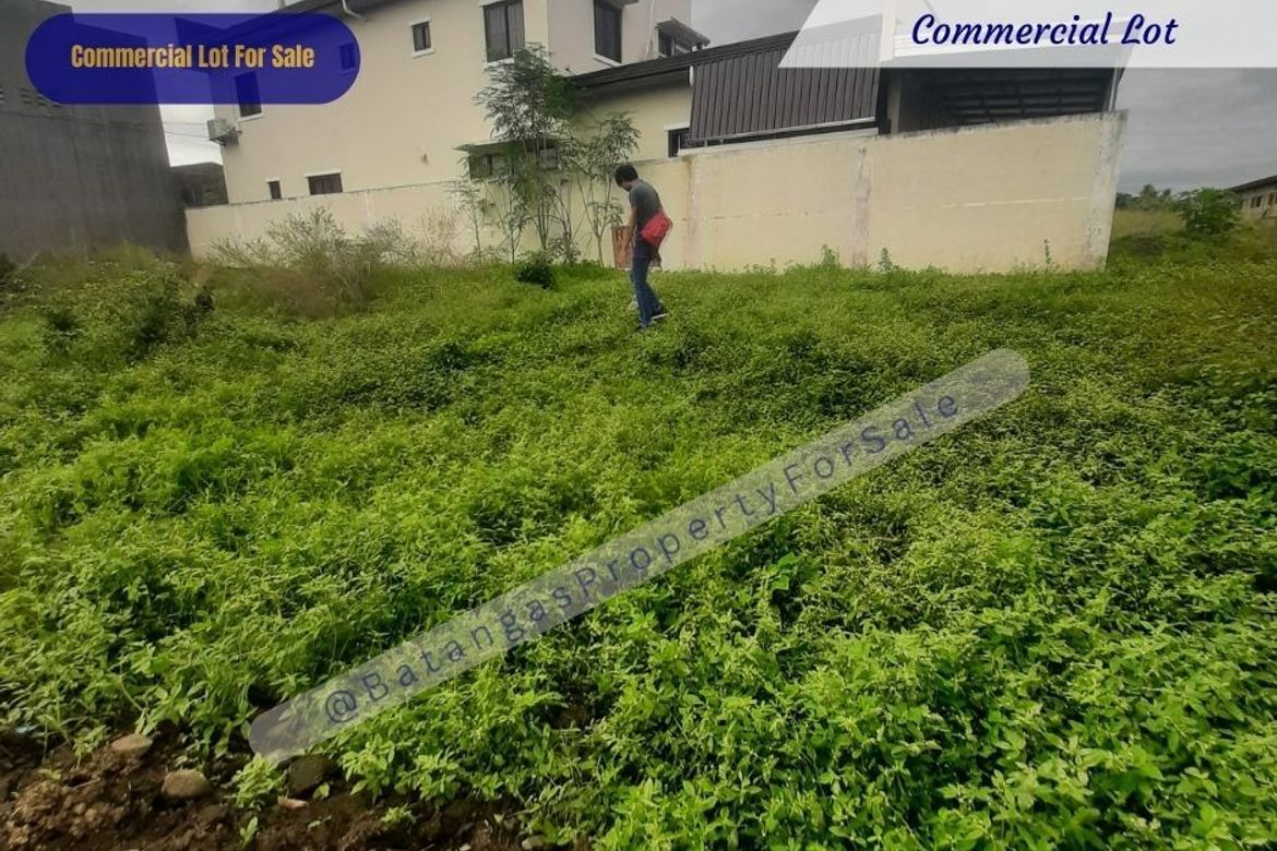 Land for Sale in Santa Rita Karsada, Batangas City, Batangas – photo 4