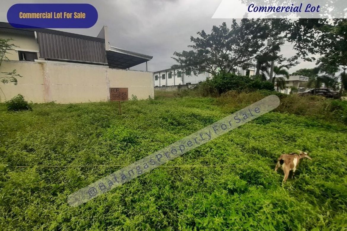 Land for Sale in Santa Rita Karsada, Batangas City, Batangas – photo 5