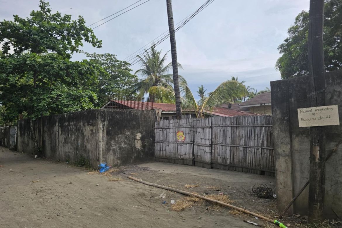 Land for Sale in Santa Rita, Oton, Iloilo – photo 4