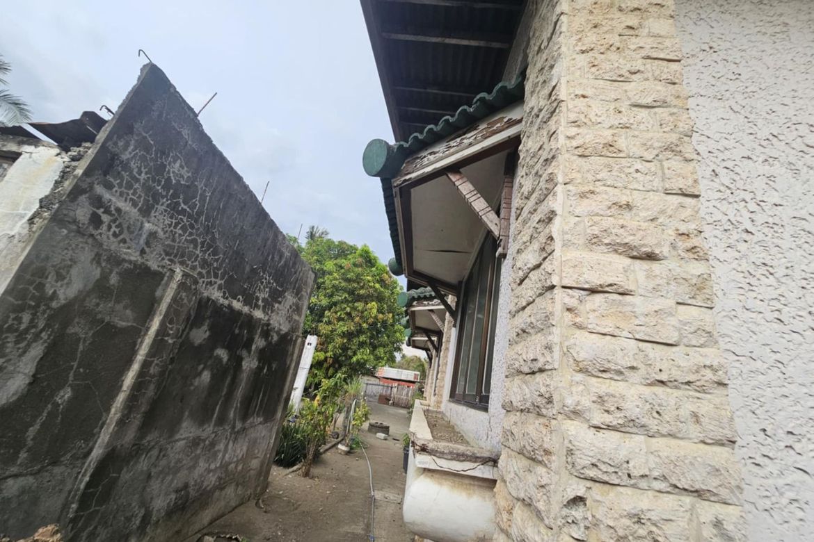 Land for Sale in Santa Rita, Oton, Iloilo – photo 7