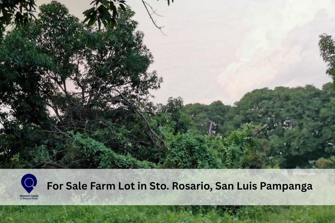 Land for Sale in Santa Rita, Quezon, Nueva Ecija