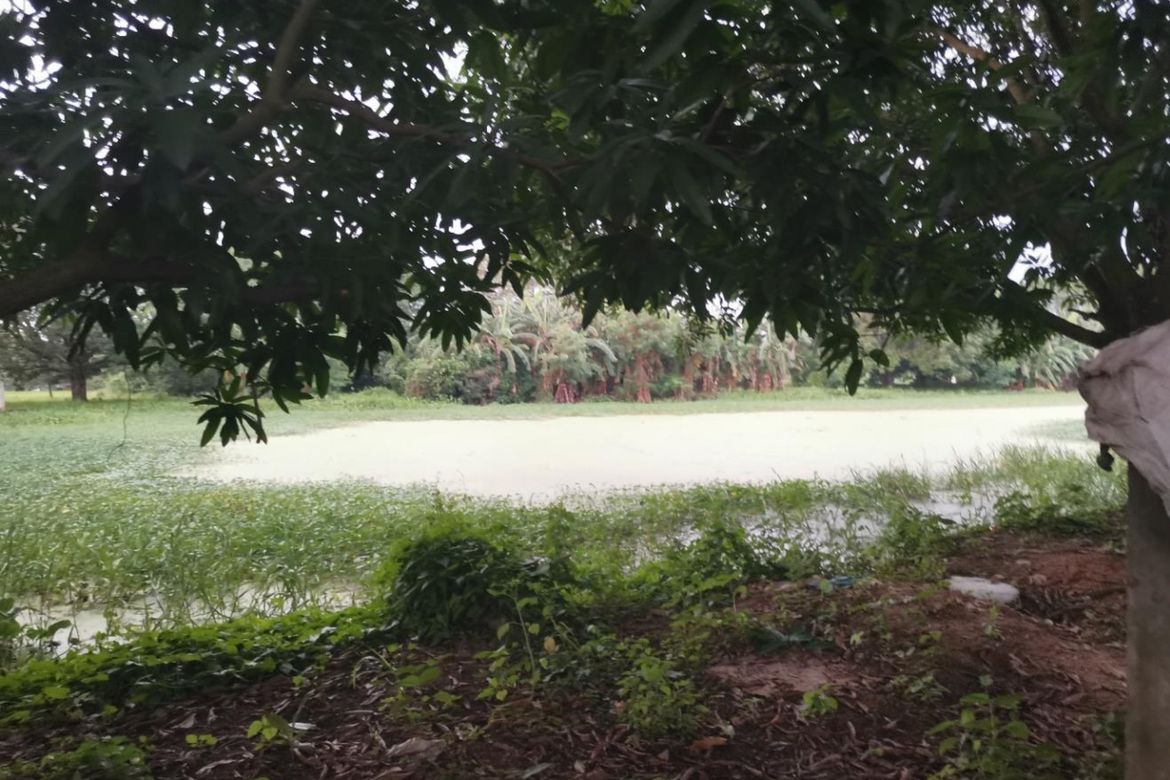 Land for Sale in Santa Rita, Quezon, Nueva Ecija – photo 8