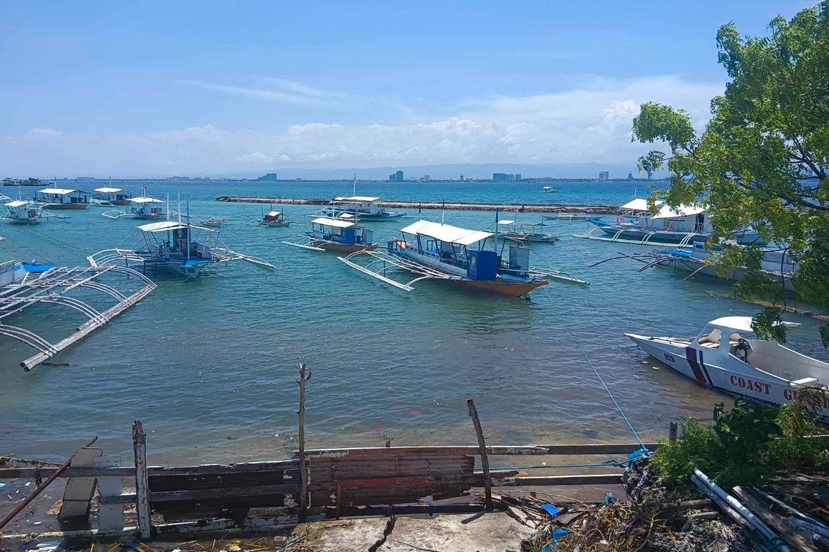 Land for Sale in Santa Rosa, Lapu-Lapu, Cebu – photo 6