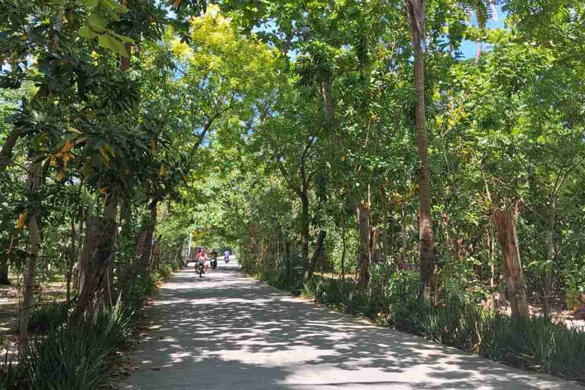Land for Sale in Santa Rosa, Lapu-Lapu, Cebu – photo 2
