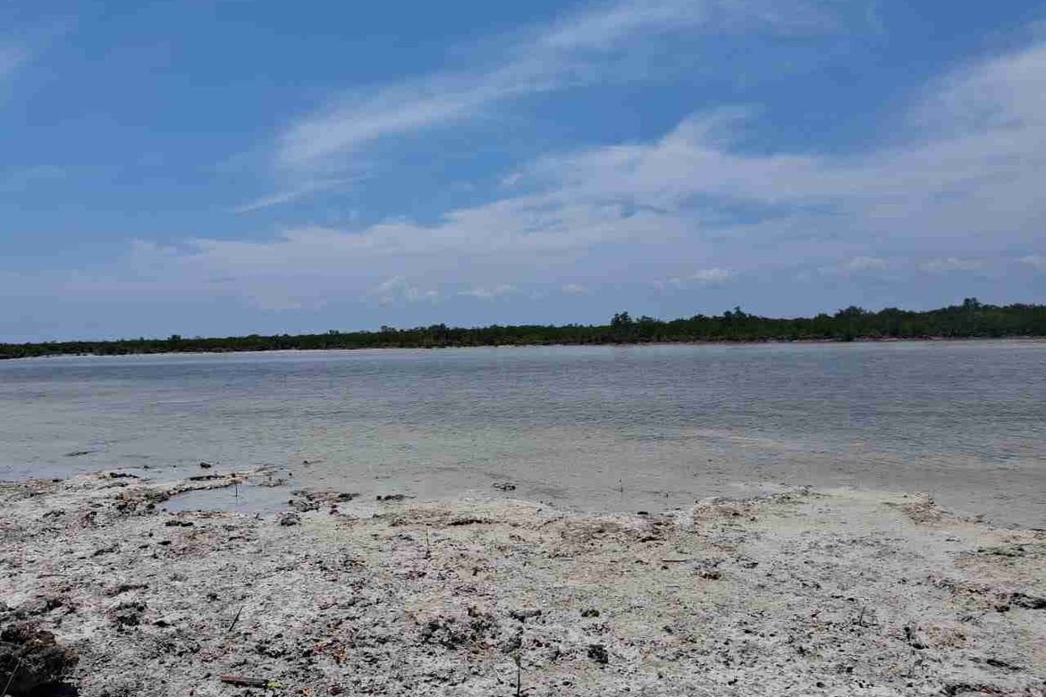 Land for Sale in Santa Rosa, Lapu-Lapu, Cebu – photo 3