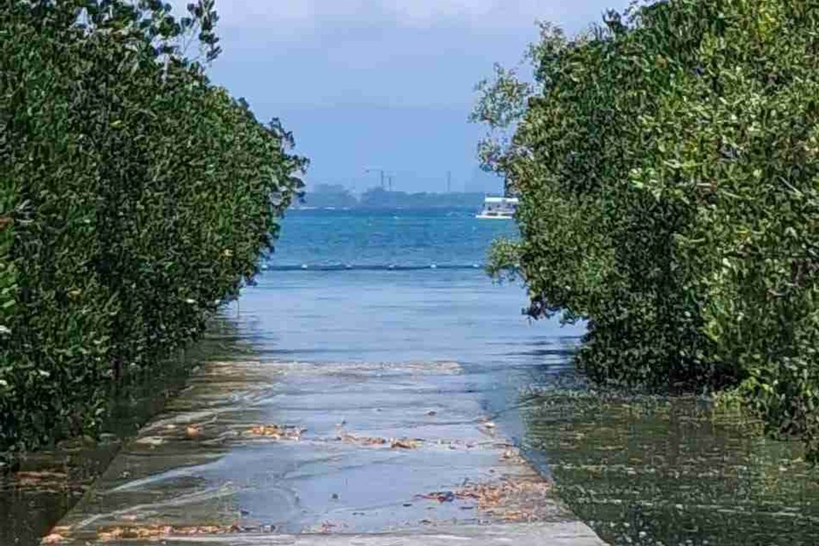 Land for Sale in Santa Rosa, Lapu-Lapu, Cebu – photo 5