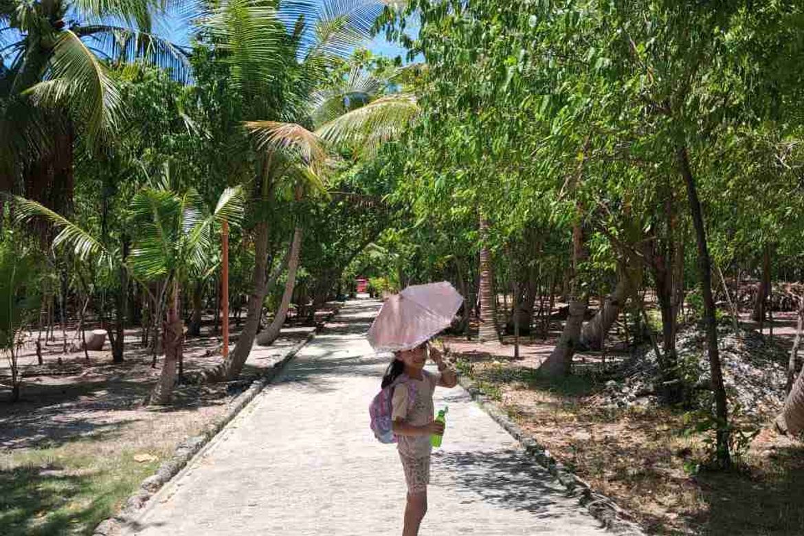 Land for Sale in Santa Rosa, Lapu-Lapu, Cebu – photo 7