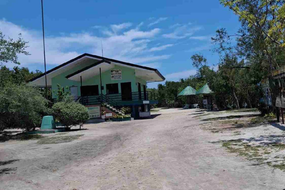 Land for Sale in Santa Rosa, Lapu-Lapu, Cebu – photo 8