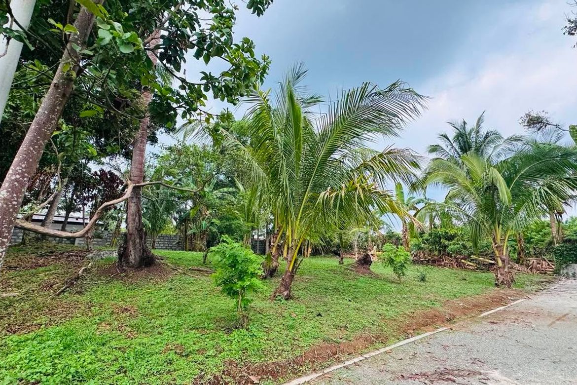 Land for Sale in Santa Teresa, Alfonso, Cavite