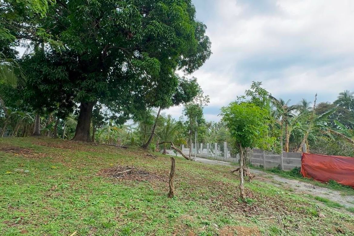 Land for Sale in Santa Teresa, Alfonso, Cavite – photo 4