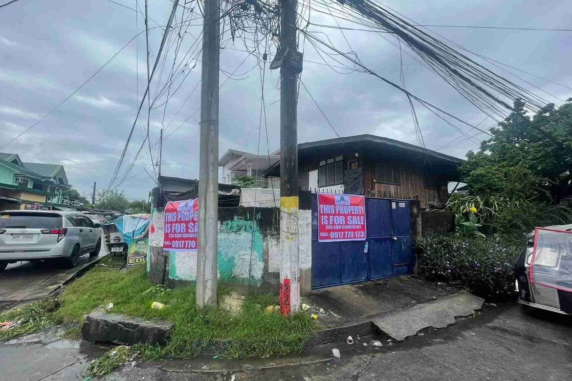 Land for Sale in Santa Trinidad, Angeles, Pampanga – photo 3
