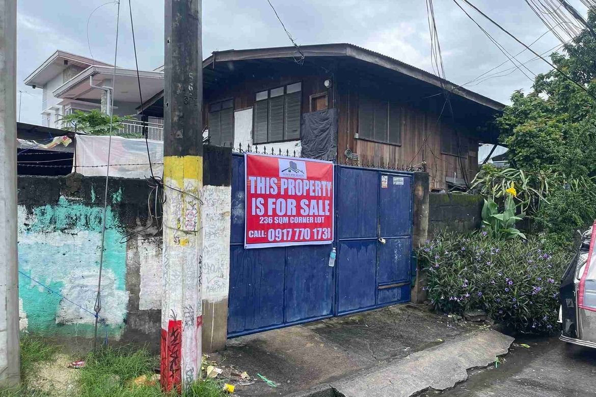 Land for Sale in Santa Trinidad, Angeles, Pampanga – photo 4