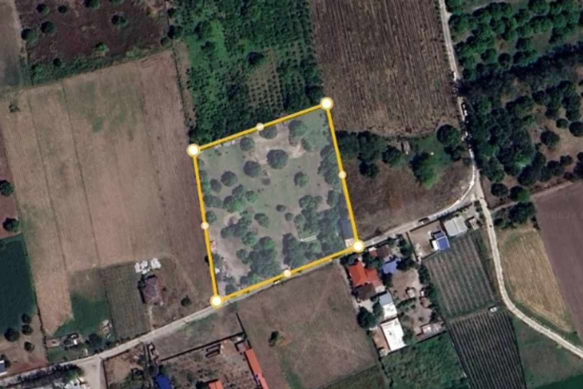 Land for Sale in Santiago, Concepcion, Tarlac