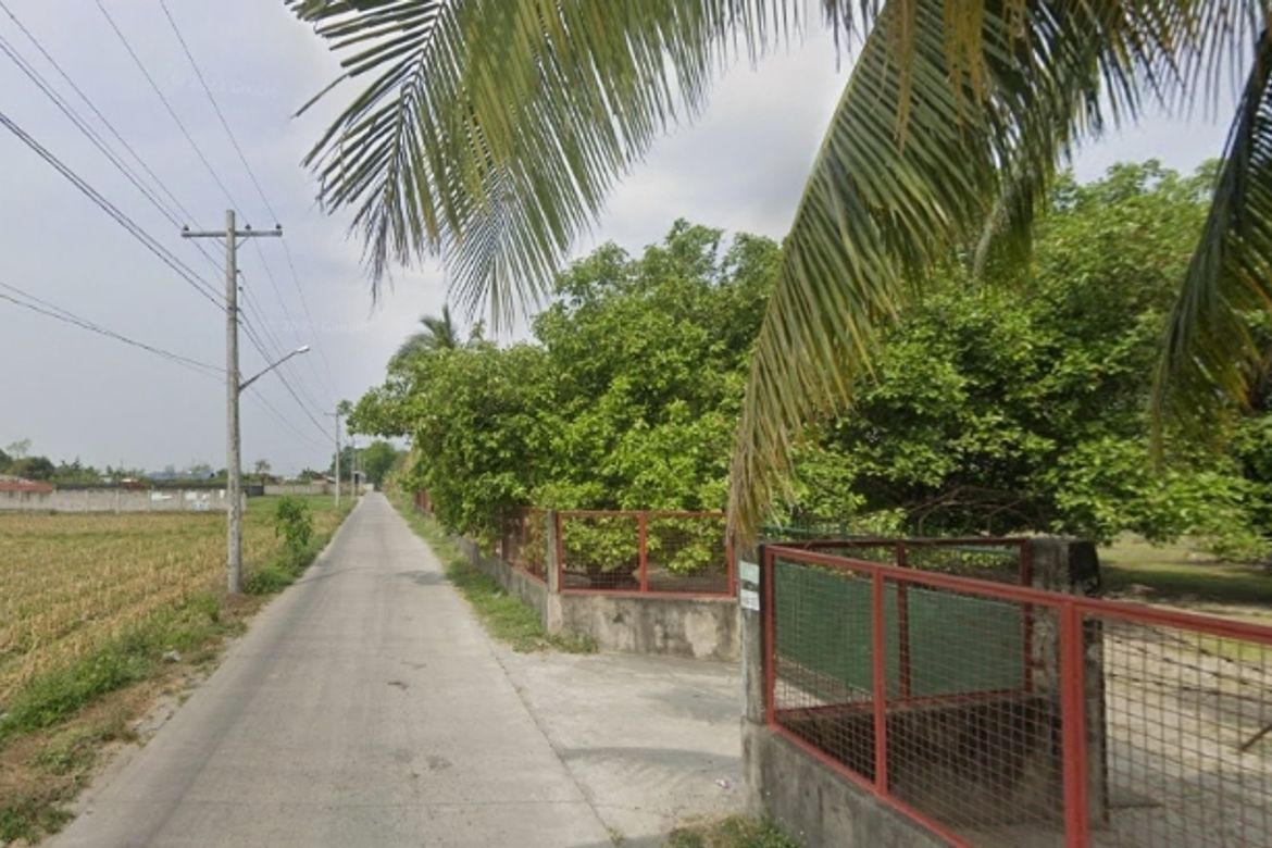 Land for Sale in Santiago, Concepcion, Tarlac – photo 3