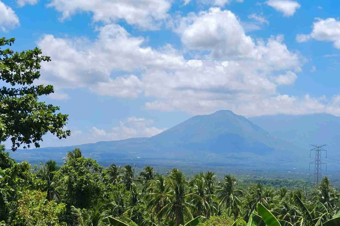 Land for Sale in Santiago II, San Pablo, Laguna – photo 2