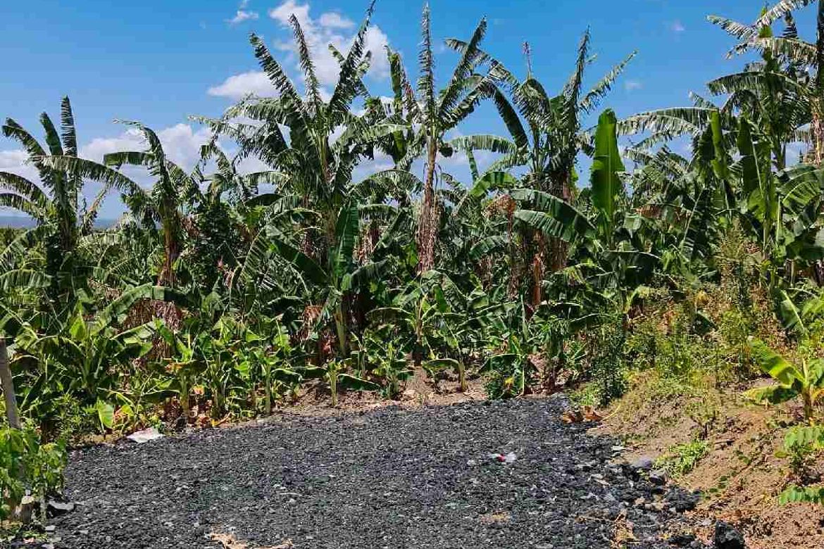 Land for Sale in Santiago II, San Pablo, Laguna – photo 6