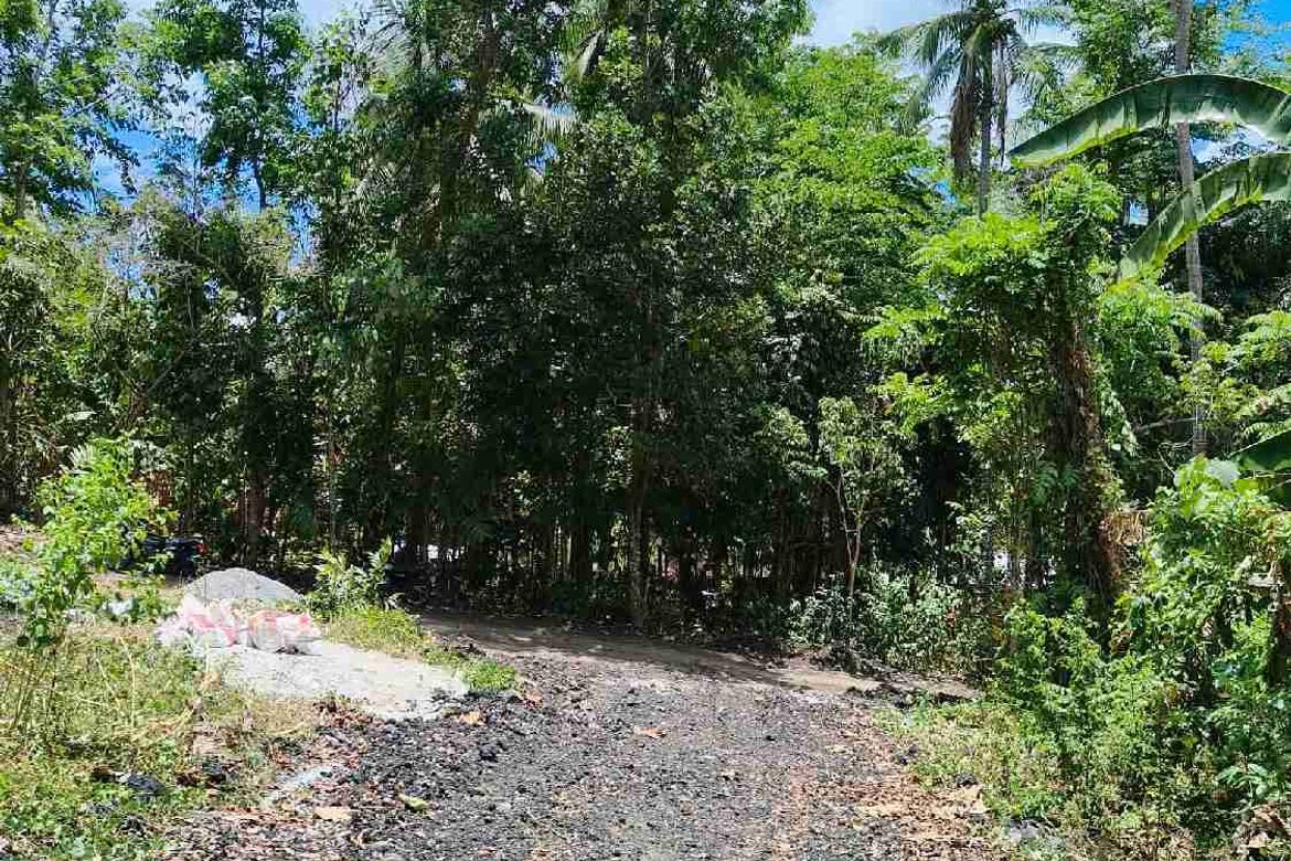 Land for Sale in Santiago II, San Pablo, Laguna – photo 7