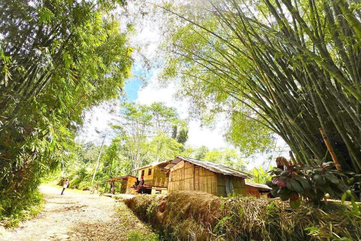 Land for Sale in Santiago, Manolo Fortich, Bukidnon