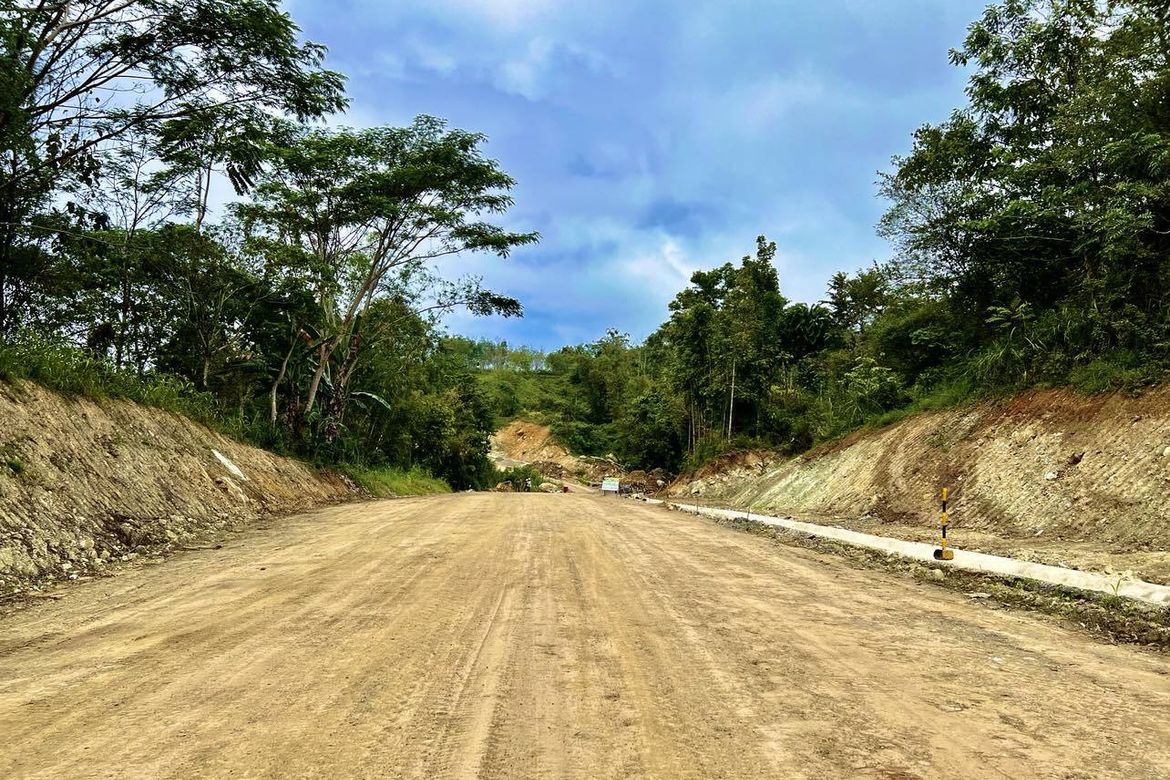 Land for Sale in Santiago, Manolo Fortich, Bukidnon – photo 3