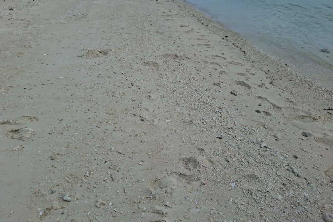 Land for Sale in Santiago, San Francisco, Cebu – photo 3