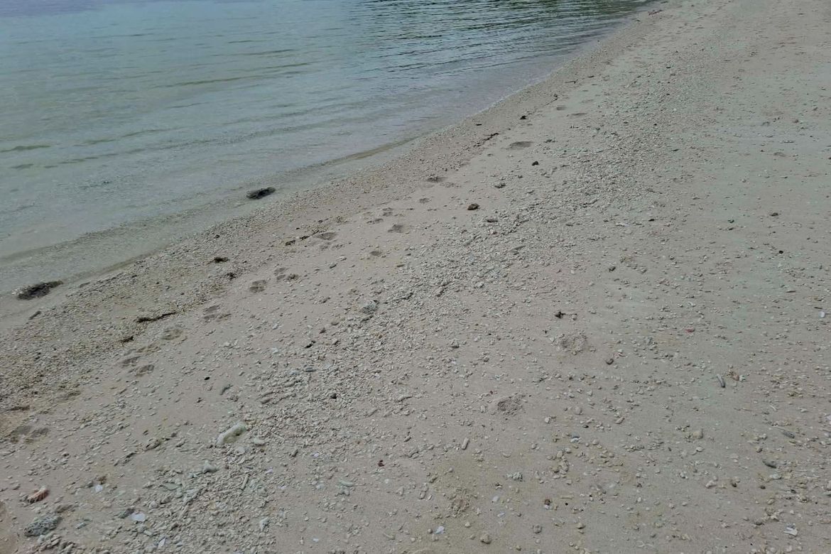Land for Sale in Santiago, San Francisco, Cebu – photo 4