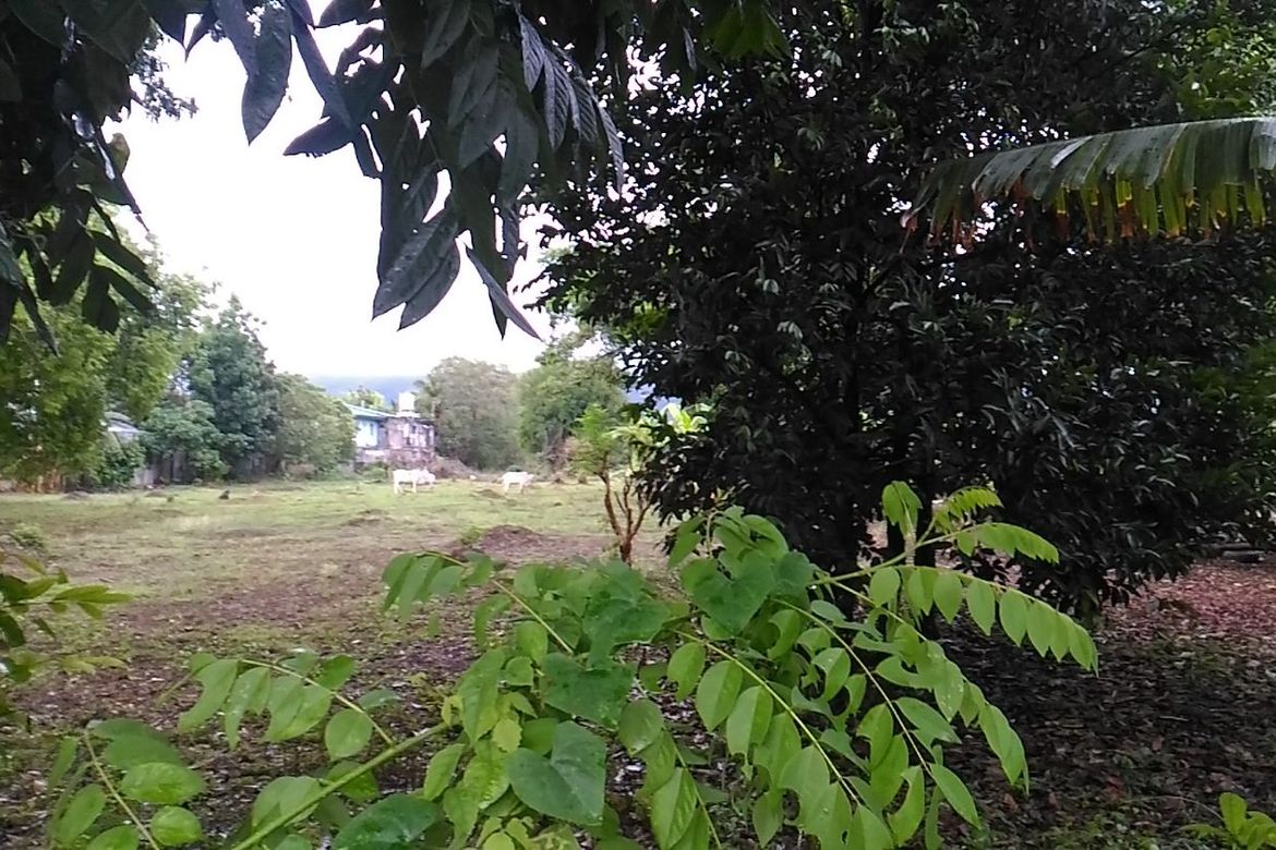 Land for Sale in Santiago, Santo Tomas, Batangas – photo 4