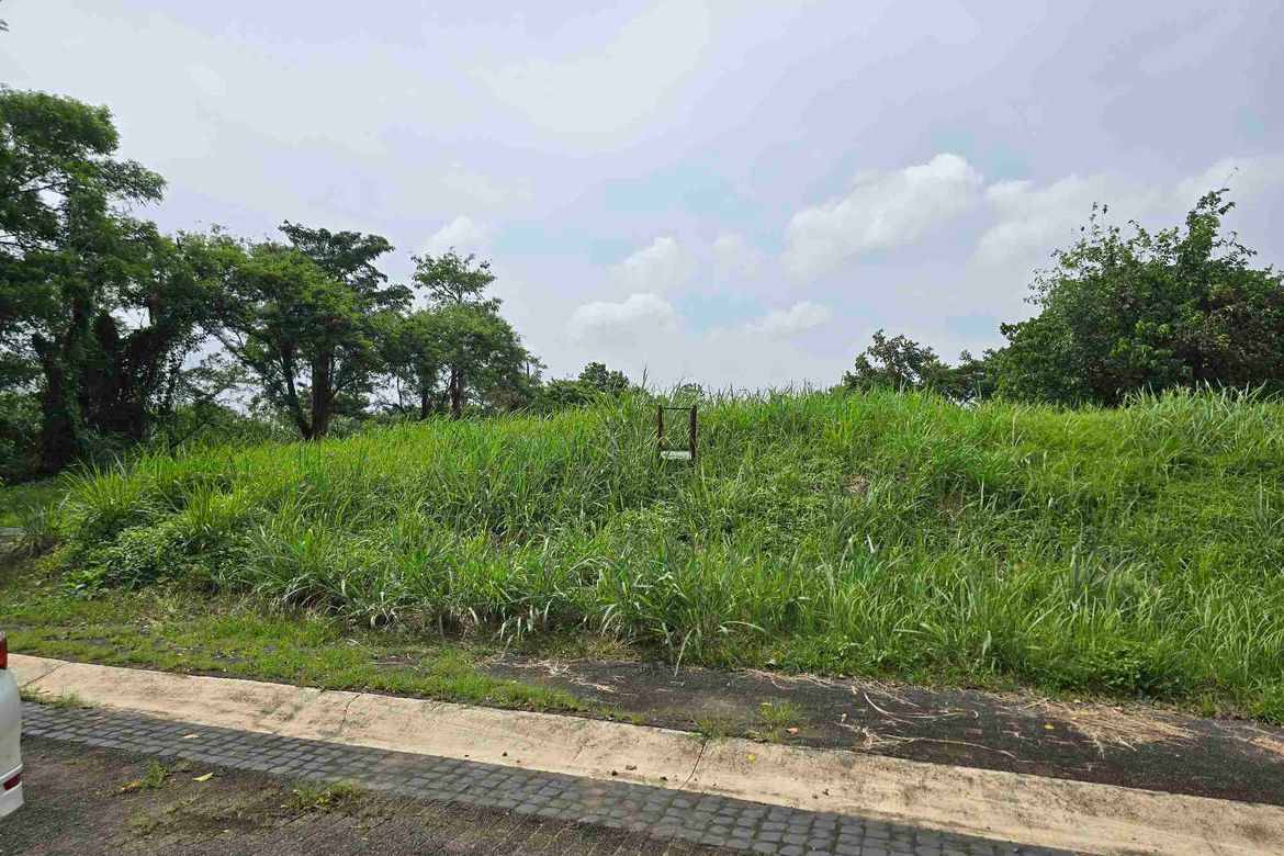 Land for Sale in SANTIERRA, Market Area, Santa Rosa, Laguna – photo 3