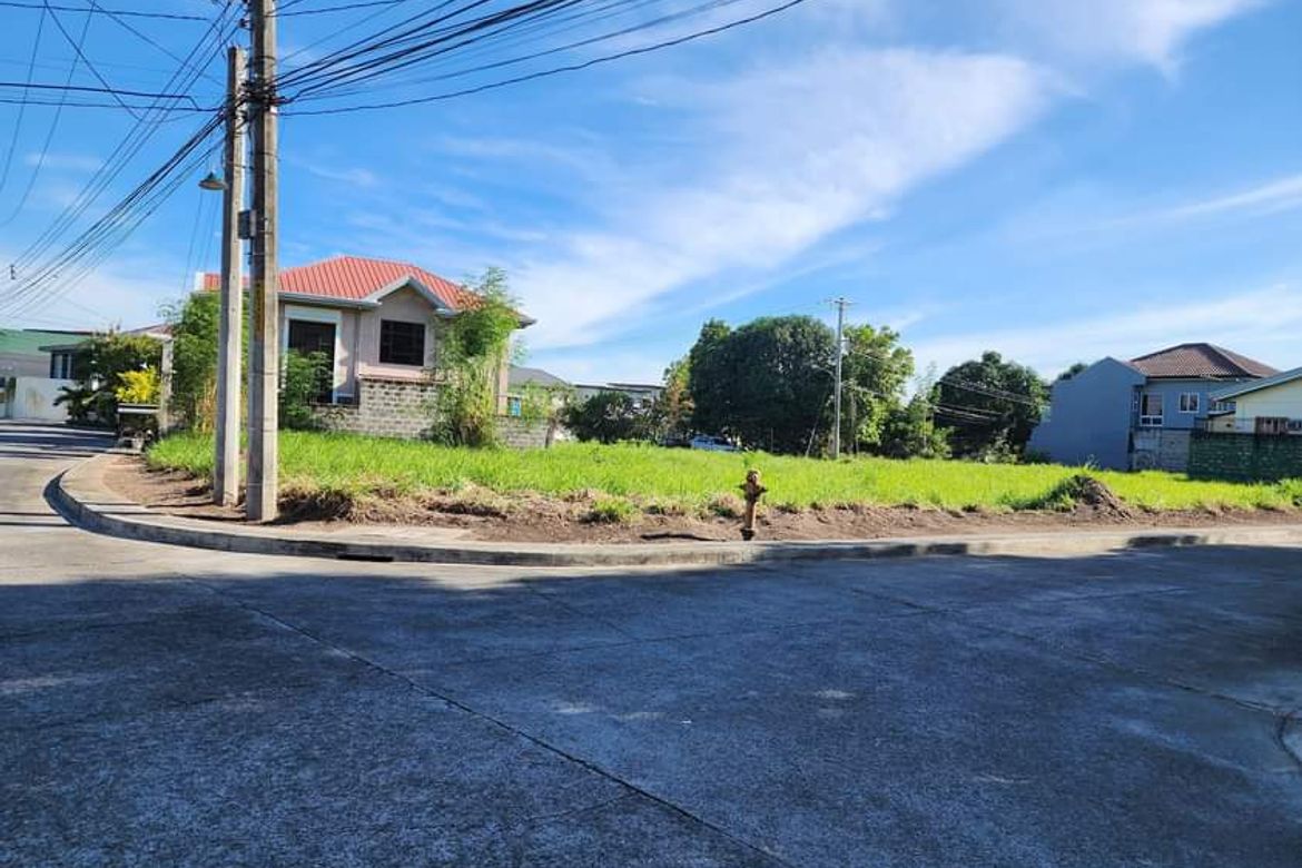 Land for Sale in Santo Cristo, Angeles, Pampanga