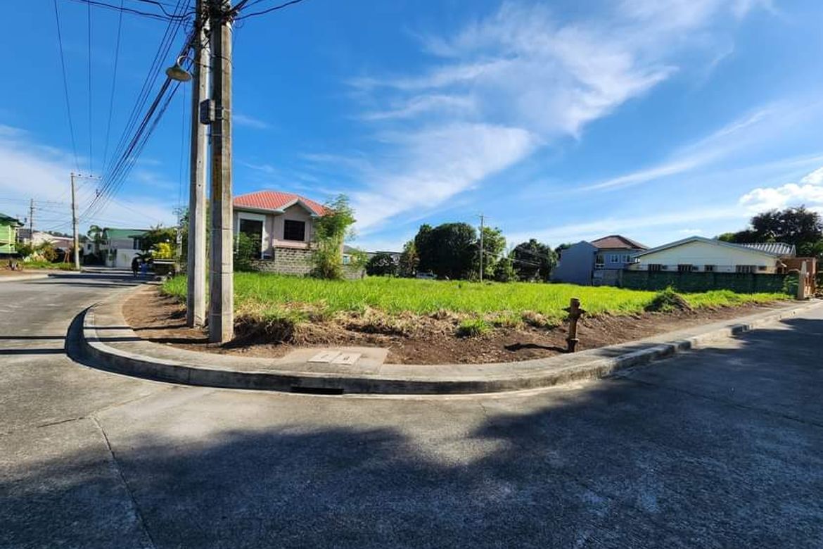 Land for Sale in Santo Cristo, Angeles, Pampanga – photo 3