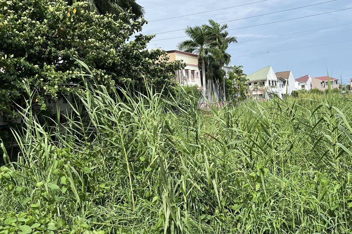 Land for Sale in Santo Cristo, Guagua, Pampanga – photo 3
