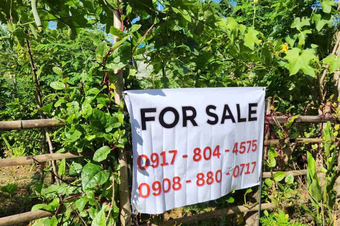 Land for Sale in Santo Cristo, San Jose del Monte, Bulacan – photo 4