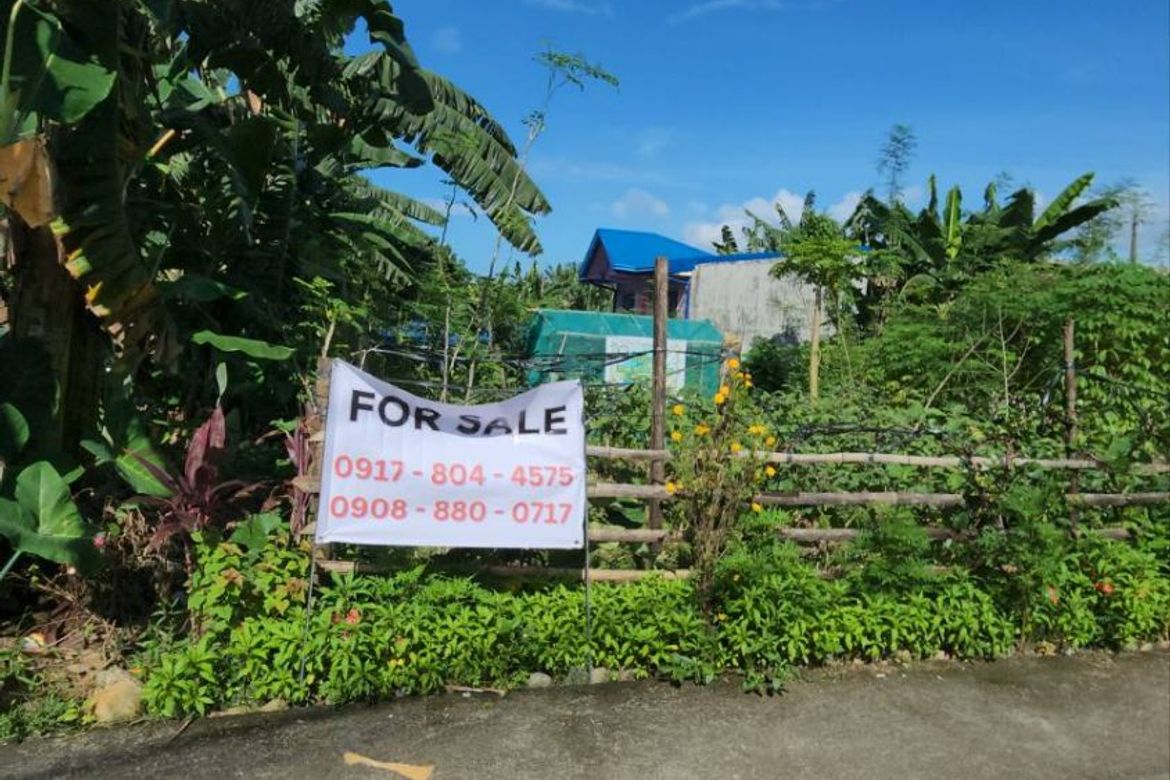 Land for Sale in Santo Cristo, San Jose del Monte, Bulacan – photo 5