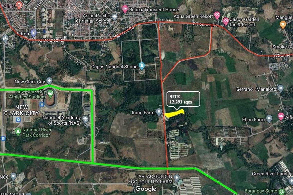Land for Sale in Santo Domingo 2nd, Capas, Tarlac
